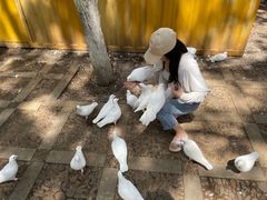 -昆明动物园