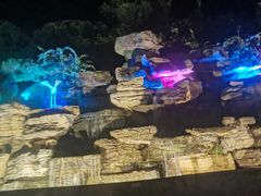 -大盘山温泉山庄