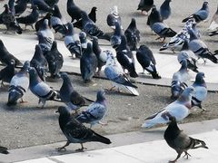 -宪法广场