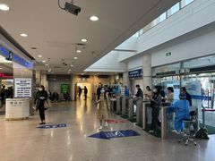 -上海市东方医院(总院)