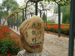 -东方巨龟苑景区