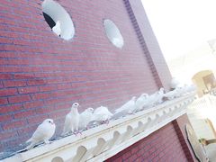 -王府井奥莱临潼小镇(临潼店)