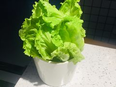 -卤教授老火锅