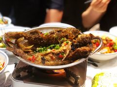 干锅黄鸭叫-壹盏灯(惠农店)