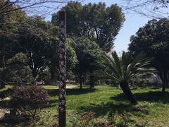 -鹅湖玫瑰文化园
