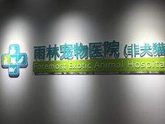 -雨林宠物医院 非犬猫异宠专科