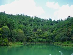 -广州白江湖森林公园