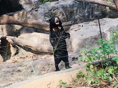 -清迈夜间动物园