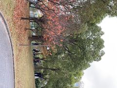 -SMP滑板公园