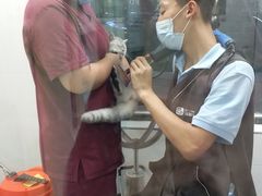 -宠颐生动物医院·心脏科·保险定点(锦阳分院)