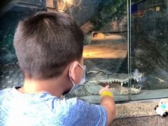 -成都浩海立方海洋公园