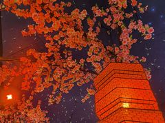 -荷塘秋月·本帮江浙菜(国权路店)