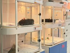 -翊宠yipet猫狗购宠庄园犬舍•猫舍