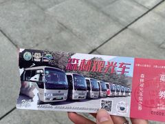 -沂蒙山旅游区云蒙景区(蒙山国家森林公园)