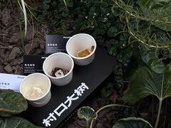 -村口大树(长乐路店)