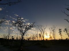 -南汇嘴观海公园