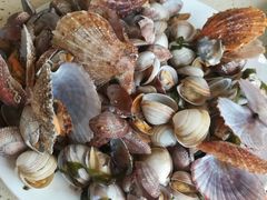 -港畔赶海蒸汽海鲜烧烤自助(仙螺岛店)
