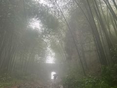-仙霞关景区