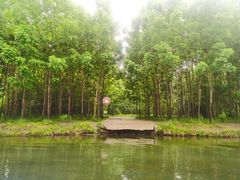 -长春市南湖公园