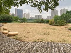 -黄兴公园