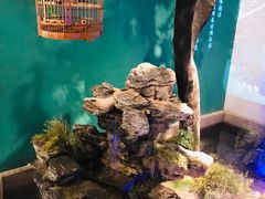 -佬麻雀·剁椒鱼头(京基KK One店)