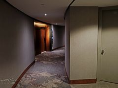 -新加坡瑞士史丹福酒店