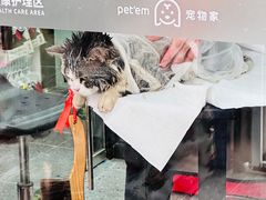 -宠物家(大兴旧宫店)