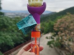 -北京十三陵国家森林公园蟒山景区