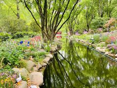 -上海共青森林公园