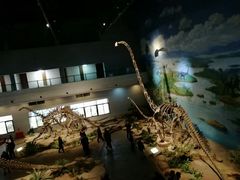 -自贡恐龙博物馆