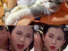 -猫色咖啡·猫咖