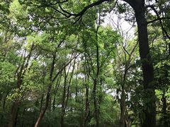 -灵岩山风景区