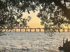 -宝安西湾红树林湿地公园