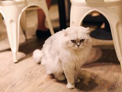 -小时光咖啡馆(开森度假森林店)
