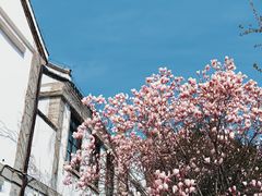 -烟台山景区