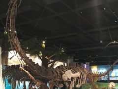 -国家自然博物馆