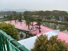 -苏州太湖西山岛开心农场