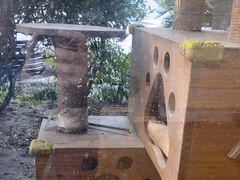 -爱侣·安琦尔宠物医院·中兽医针灸·心内科·狂犬免疫点(宝山区院)