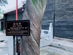 -关林