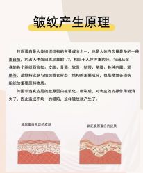 点击看大图 -玛莲朵·海菲秀冰珀科