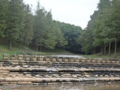-聚龙山公园