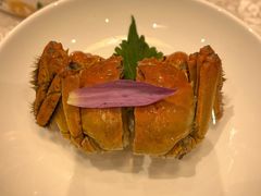 -新光酒家·河豚·海鲜·蟹料理(浦东店)