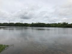 -沙美村