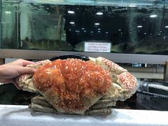 -悉尼鱼市场