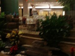 -成都凯宾斯基饭店