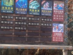 -哈尔滨波塞冬海底世界