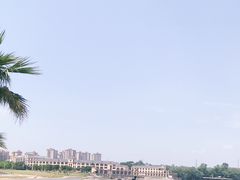 -仙湖旅游度假区
