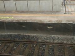 -塘沽站