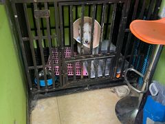 -沐沐家宠物(成寿寺店)