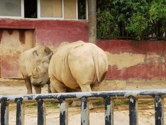 -泉州海丝野生动物世界